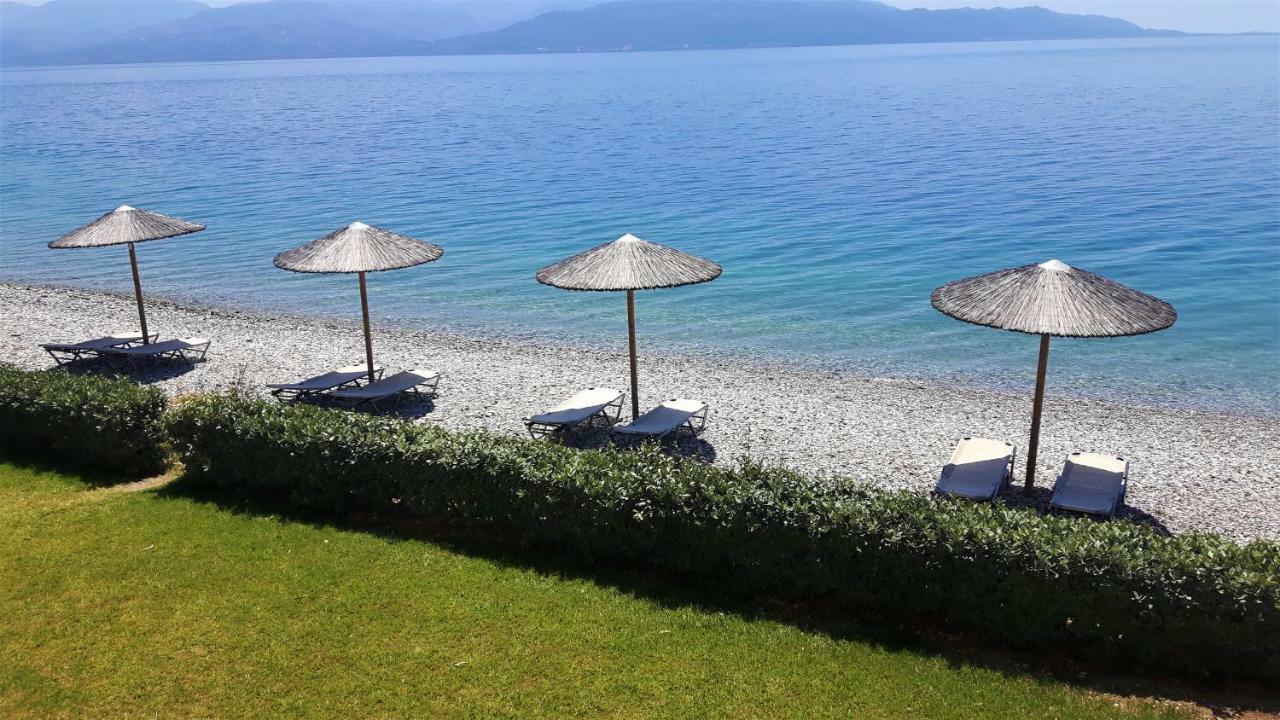 Villa Thalassa Paralia Sergoulas Zewnętrze zdjęcie