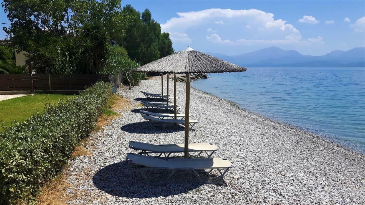 Villa Thalassa Paralia Sergoulas Zewnętrze zdjęcie